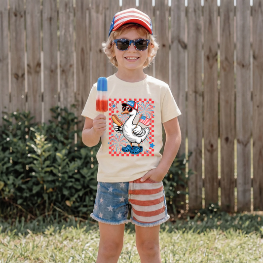 4th Of July Boy Goose DTF Print