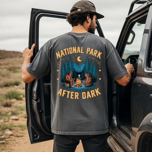 National Park After Dark DTF Print
